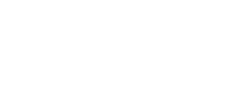 CPA — Chartered Professional Accountants
